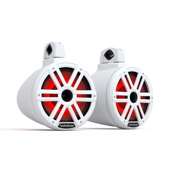 Rockford Fosgate M2WL-10H