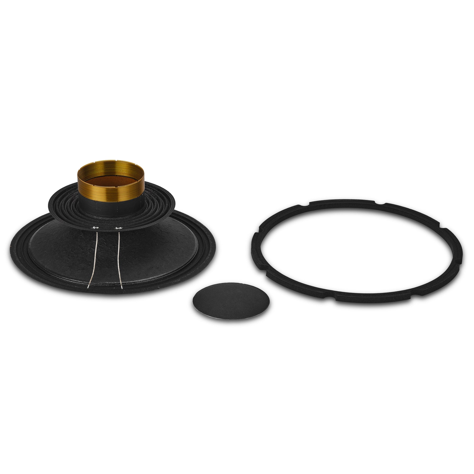 DS18 10PRO1200MB-8RCK