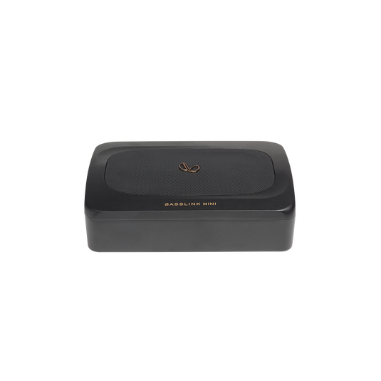 Infinity BassLink Mini - Image 2