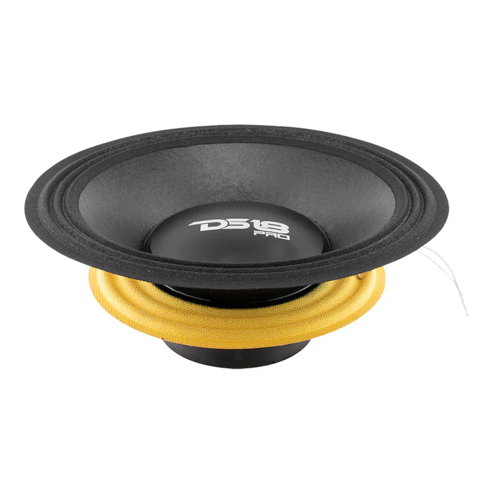 DS18 PRO-XLNEO10MB/RCK