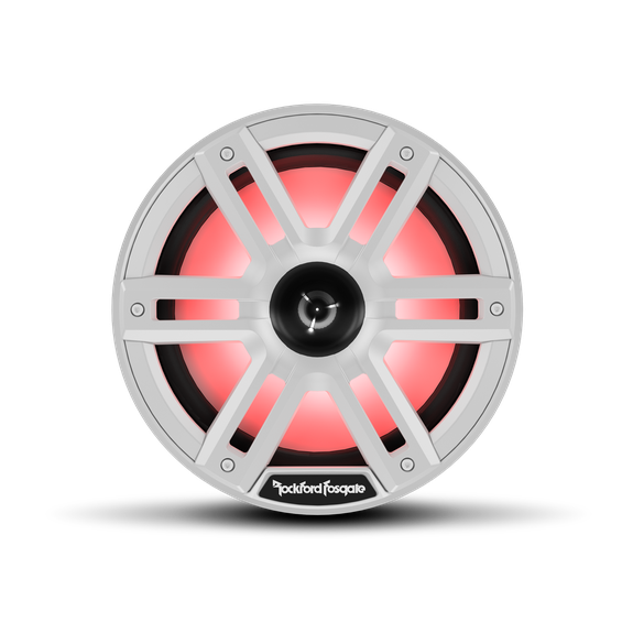 Rockford Fosgate M1D2-10