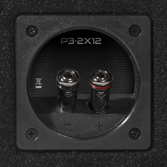 Rockford Fosgate Punch P3-2X12 - Image 6